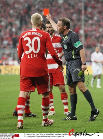 的世界里 的世界里