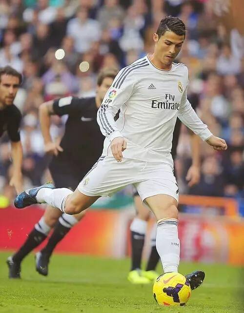 训豪门的球 训豪门的球